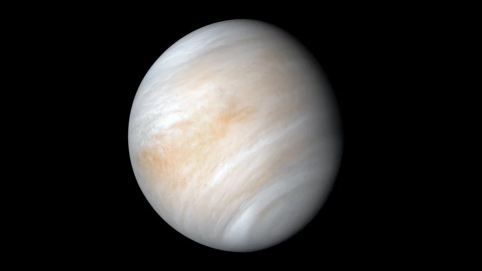 Venus: An Unexpected Candidate